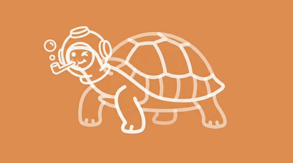 cute and funny turtle