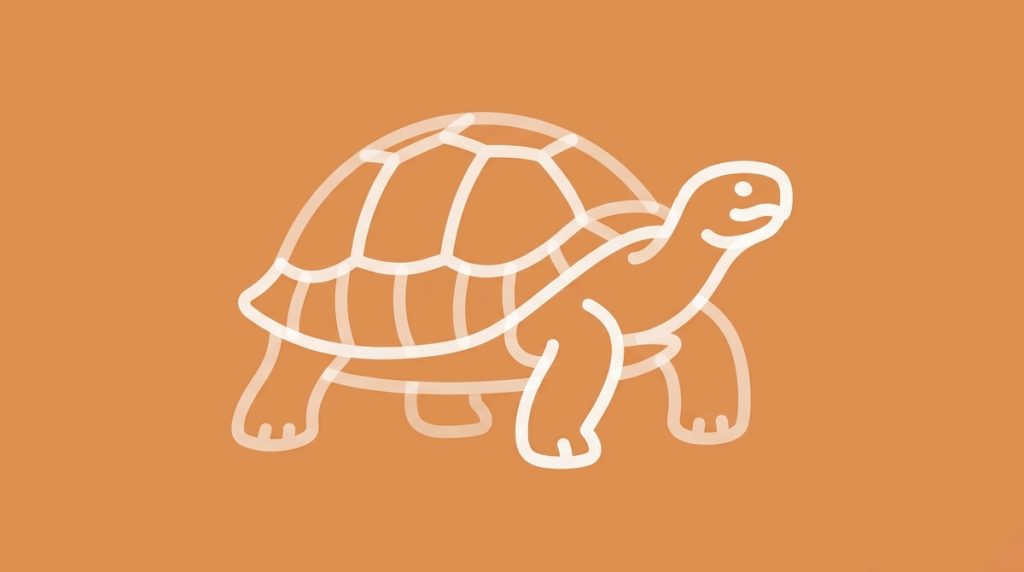 A giant tortoise